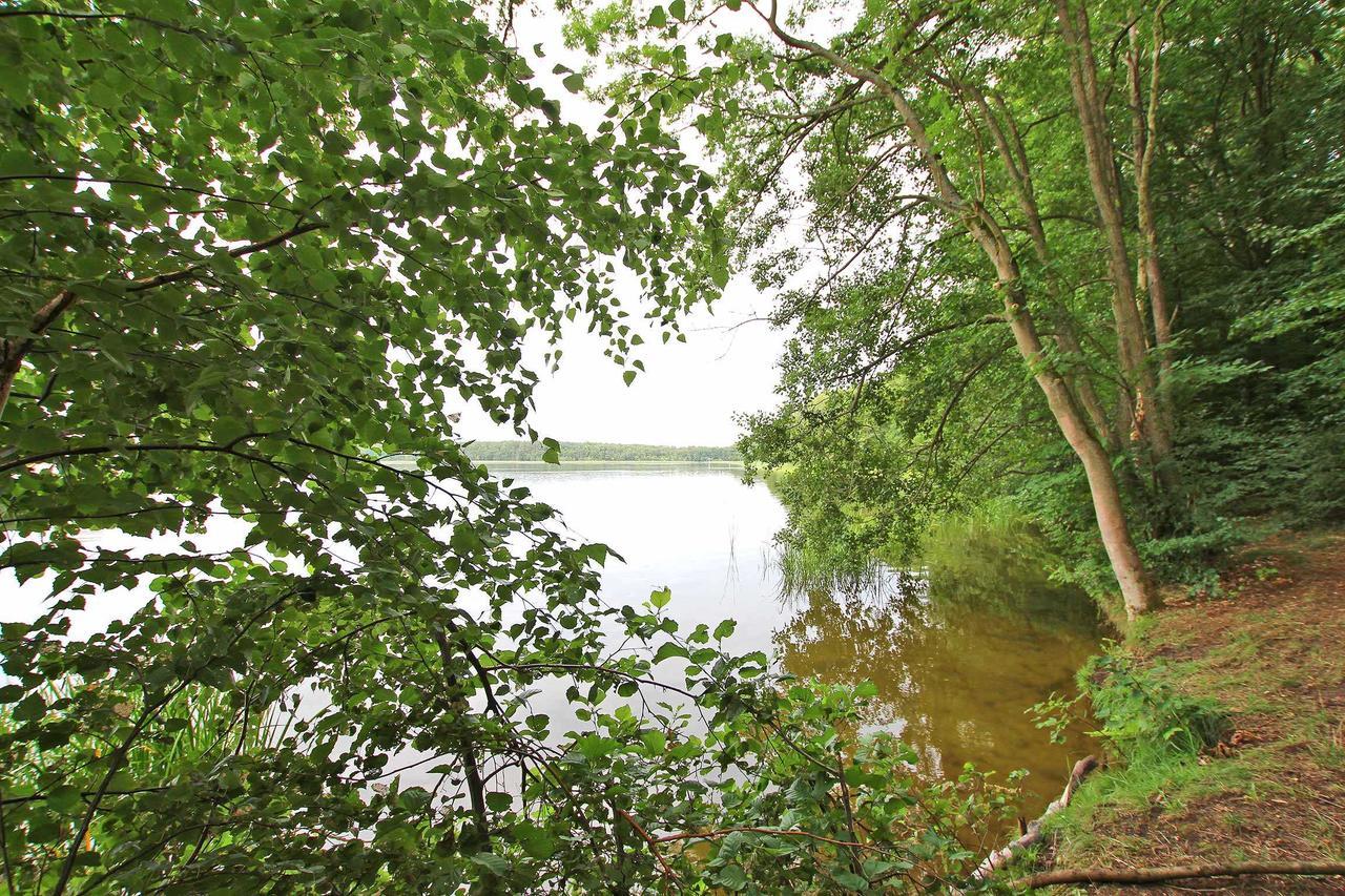 Ferienwohnung Im Forsthaus Am See Schwarz ภายนอก รูปภาพ